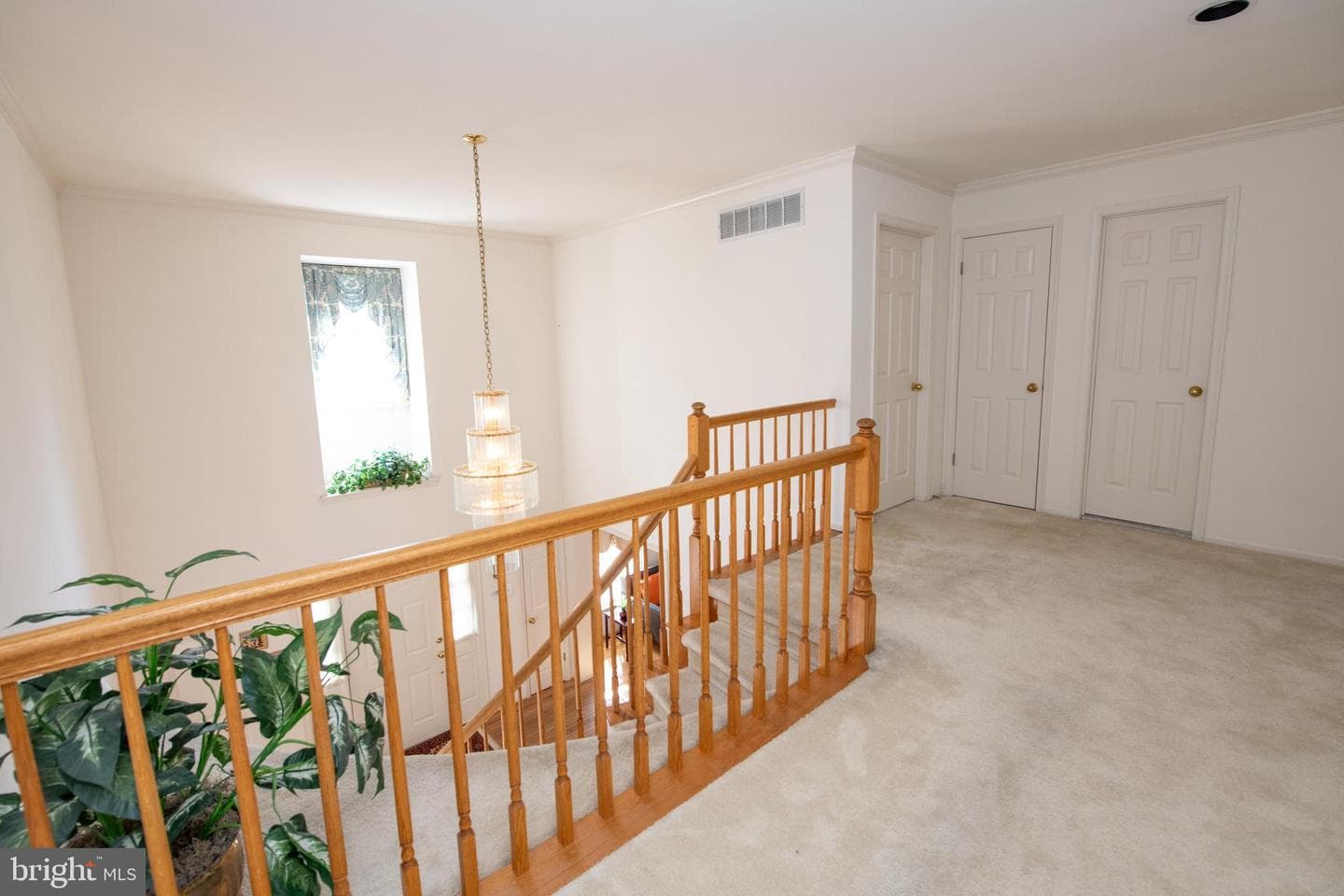 19 Zelkova Drive photo 26