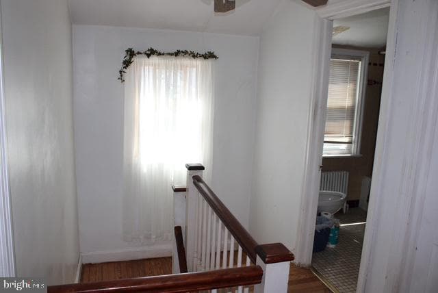 30 Landreth Lane photo 25