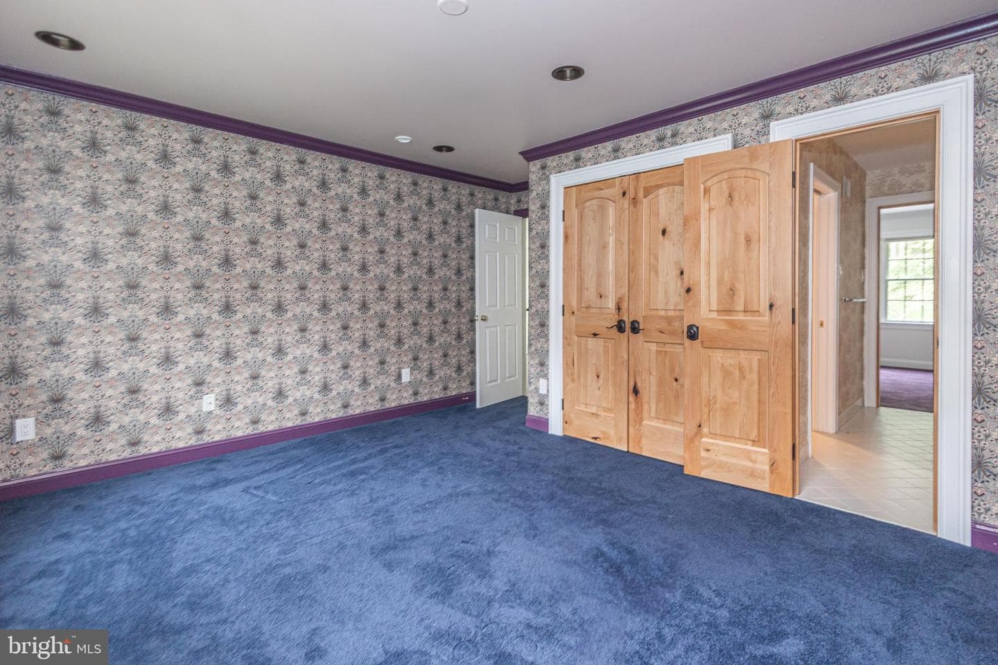 21 Bellinghamshire Place photo 66