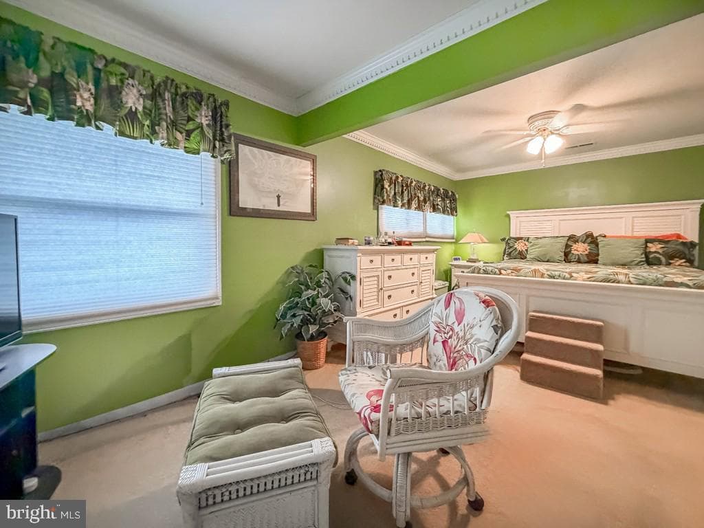 55 Teaberry Lane photo 20