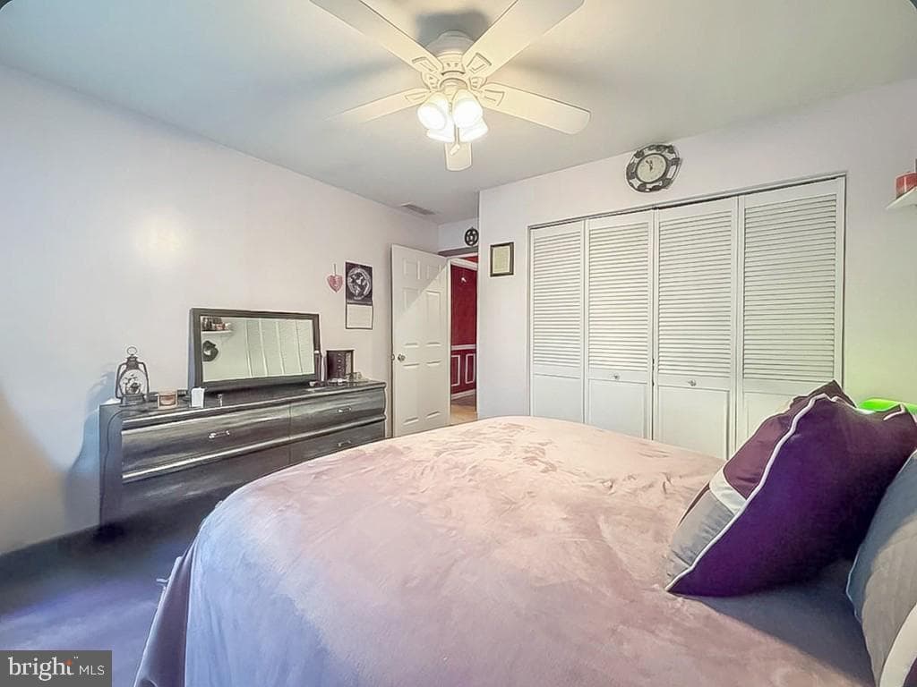 55 Teaberry Lane photo 22