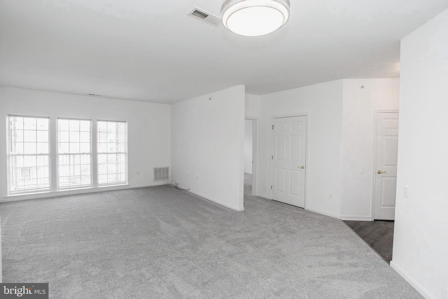 100 Beech Boulevard #204 photo 5