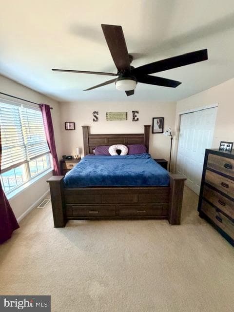 1155 School House Lane photo 18