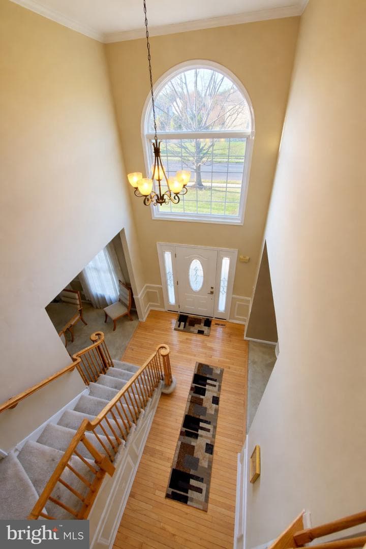 529 Glen Meadow Road photo 3