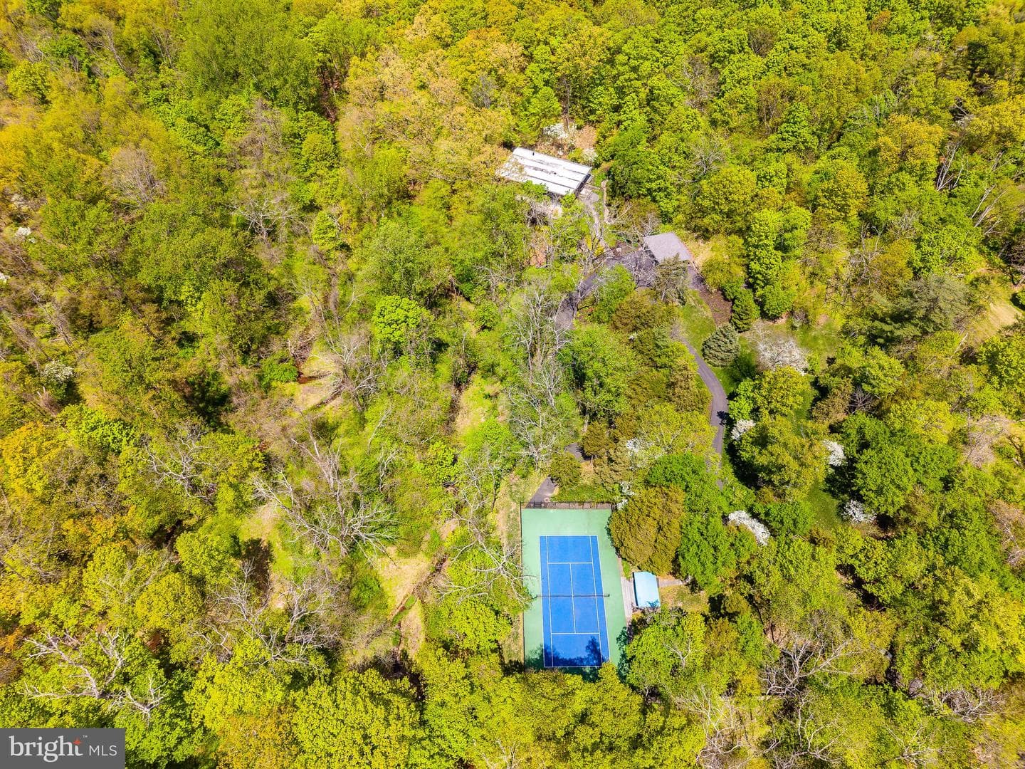 372 Brownsburg Road photo 64