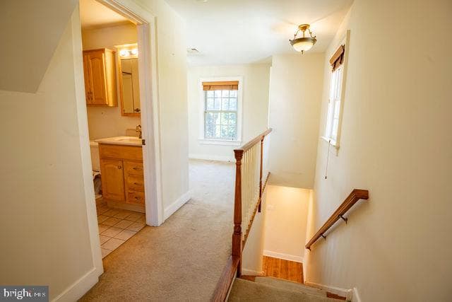 6 Letchworth Avenue photo 12