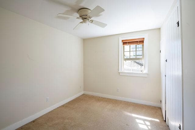 6 Letchworth Avenue photo 19
