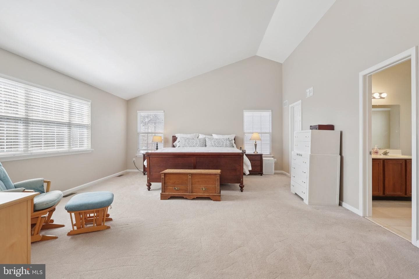 48 Steeplechase Drive photo 28