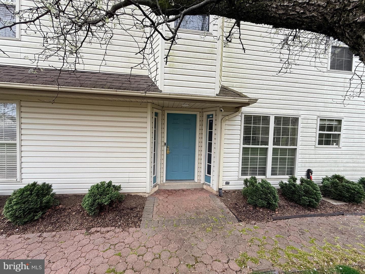 320 Wyndale Drive photo 4