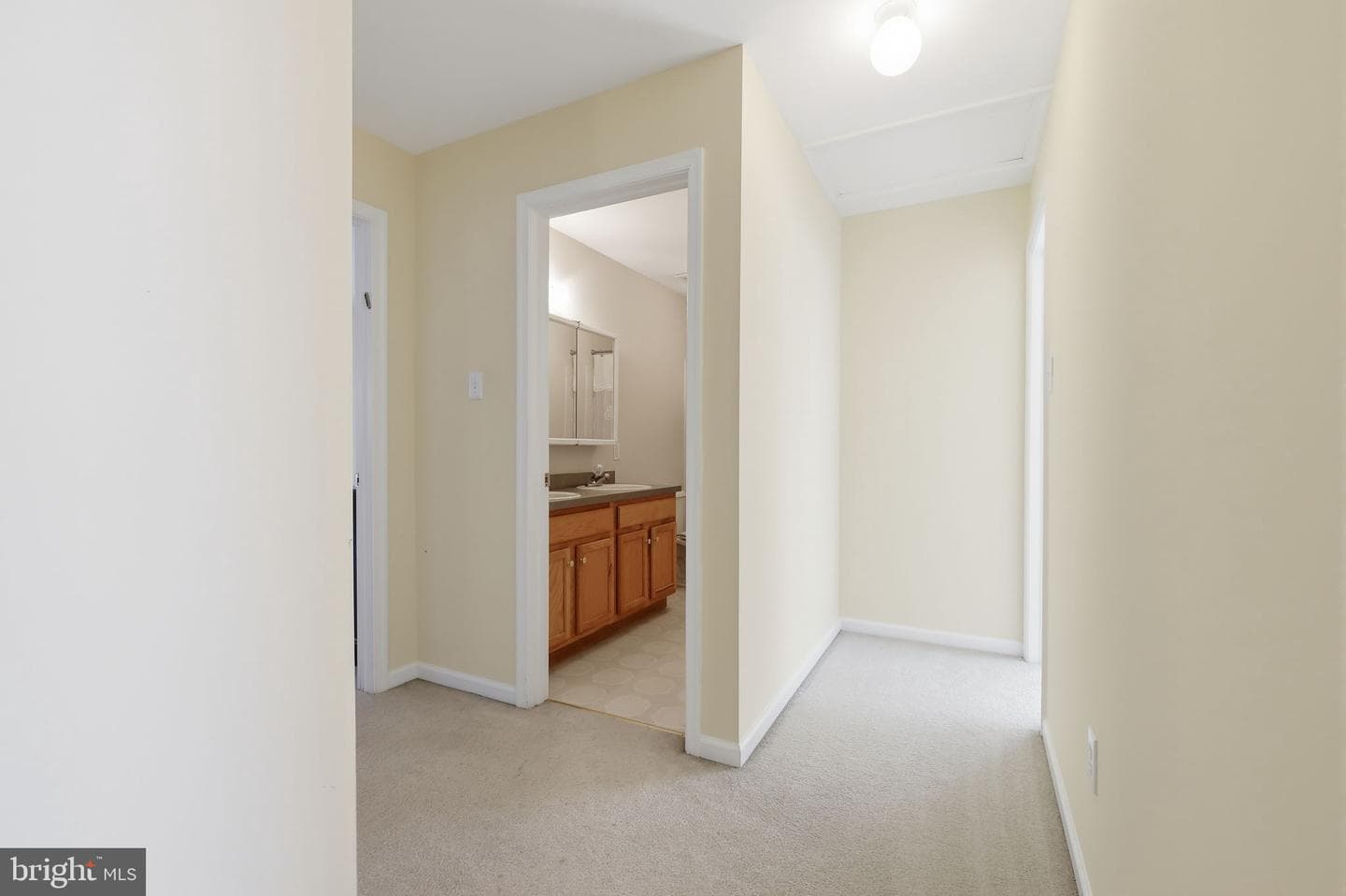 838 Purple Martin Court photo 16