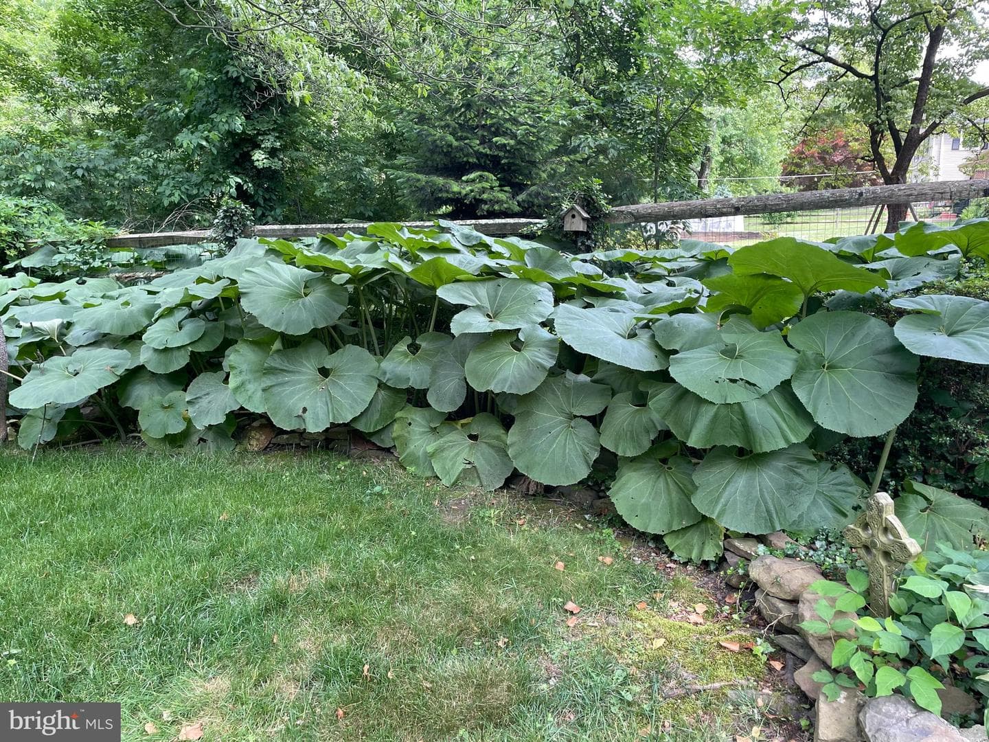 92 Oak Drive photo 52