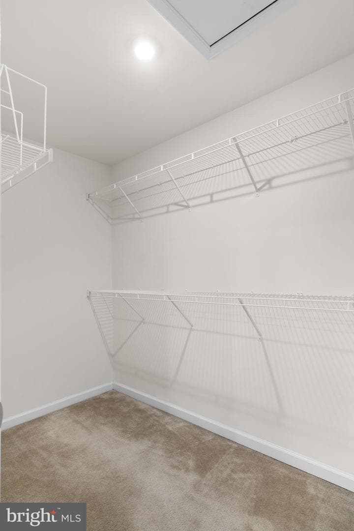 494 Rowan Street photo 31