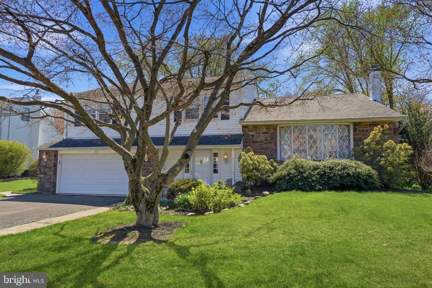 156 Rice Drive photo 2