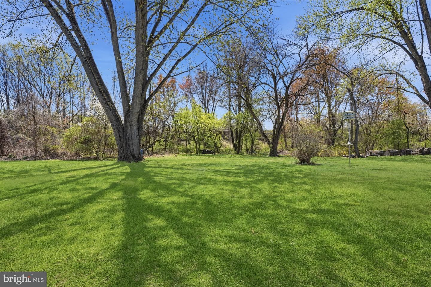 156 Rice Drive photo 30
