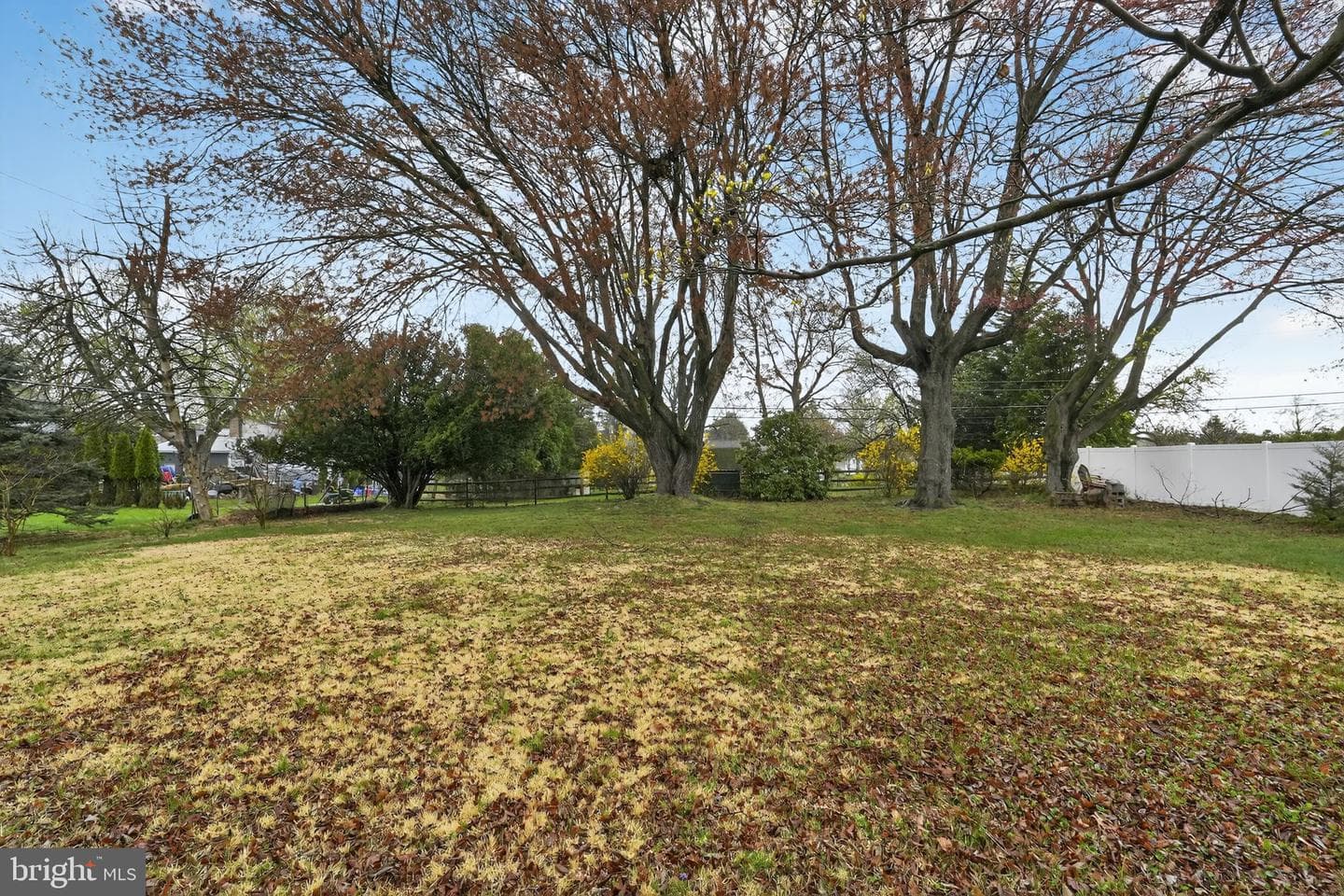 8 Lukens Street photo 27