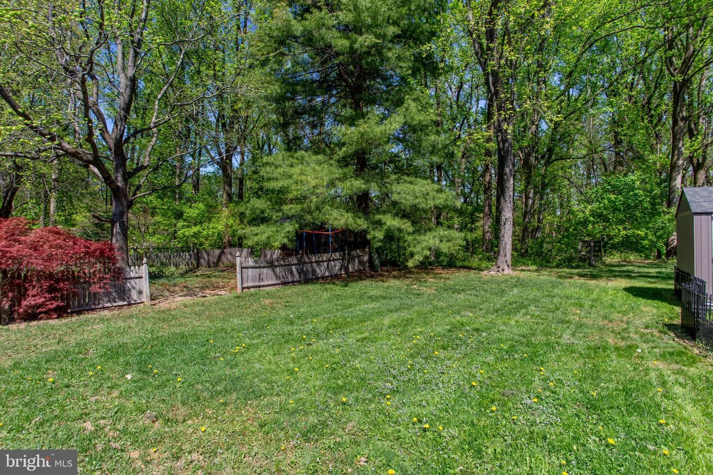6536 Timothy Court photo 39