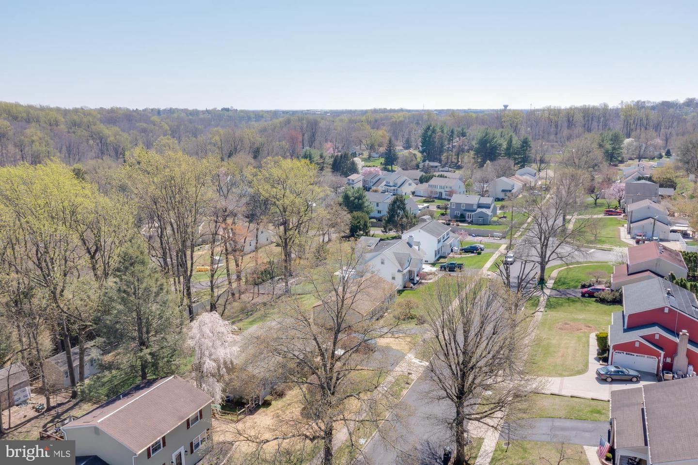 225 Buttonwood Drive photo 42