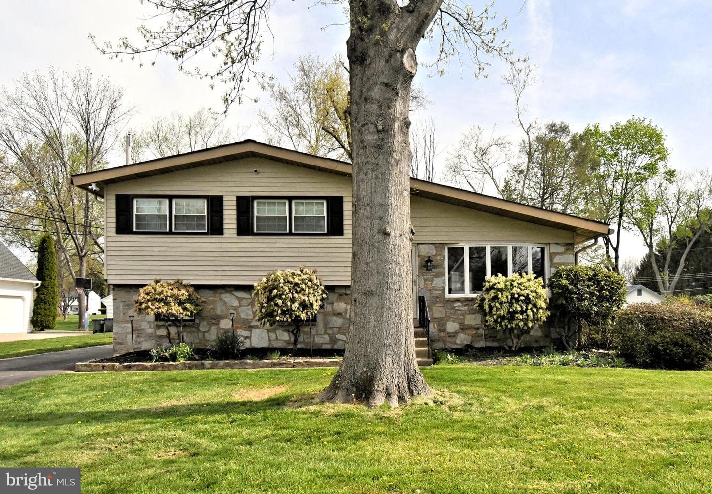 89 Upland Drive photo 3