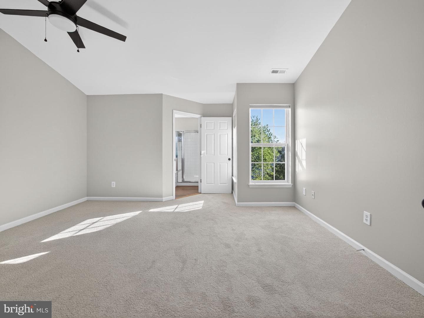 207 Windsor Court photo 27