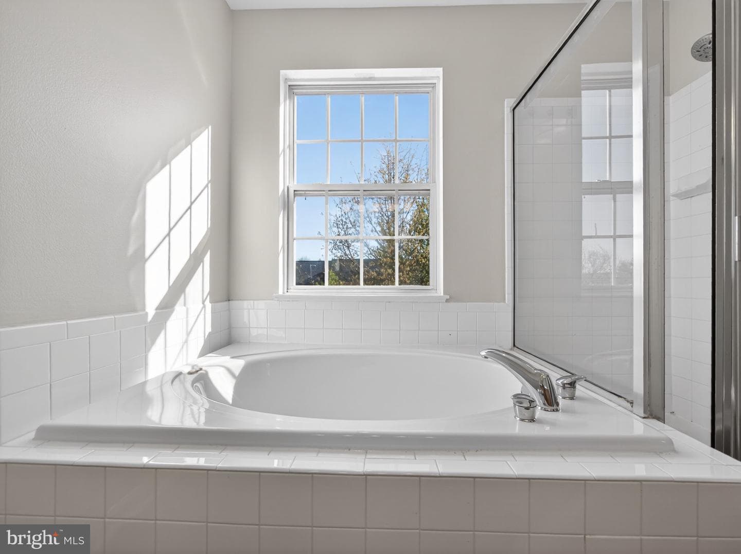 207 Windsor Court photo 32