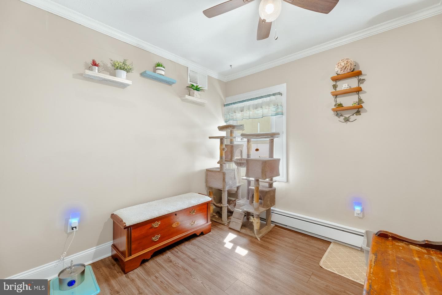 11 Midwood photo 23