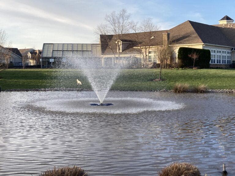 203 Fairway Drive photo 24