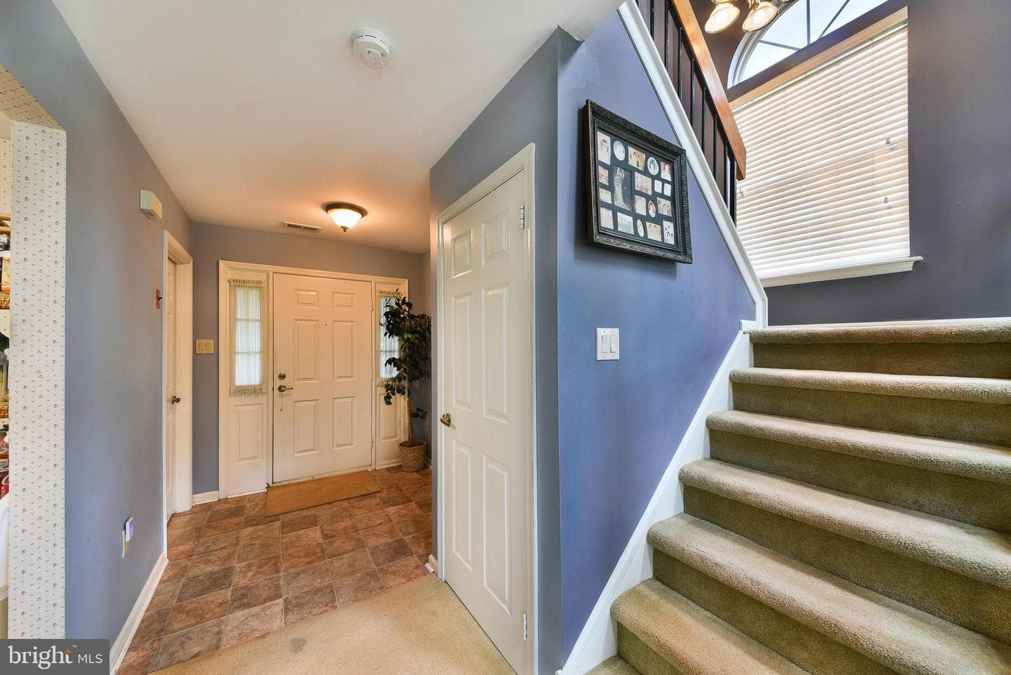 14 Nutmeg Place photo 6