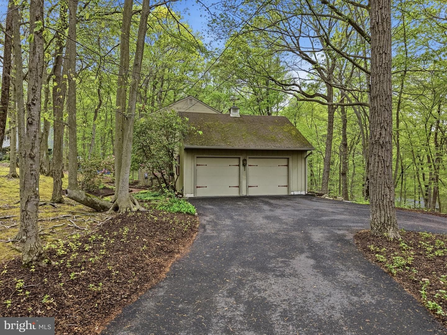 3858 Dogwood Lane photo 3