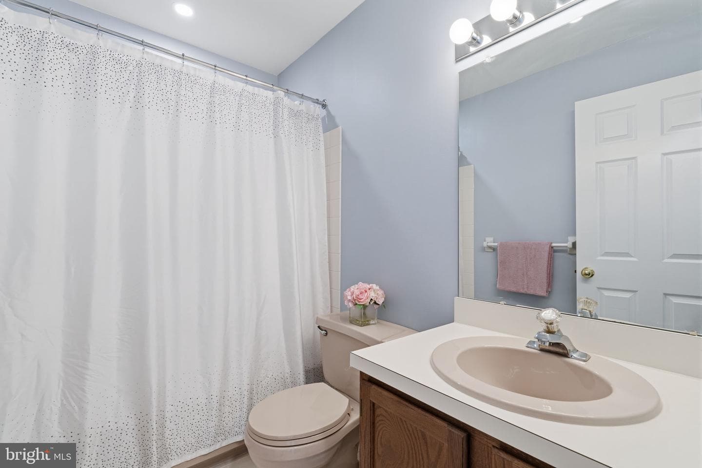 7 Randolph Court photo 25