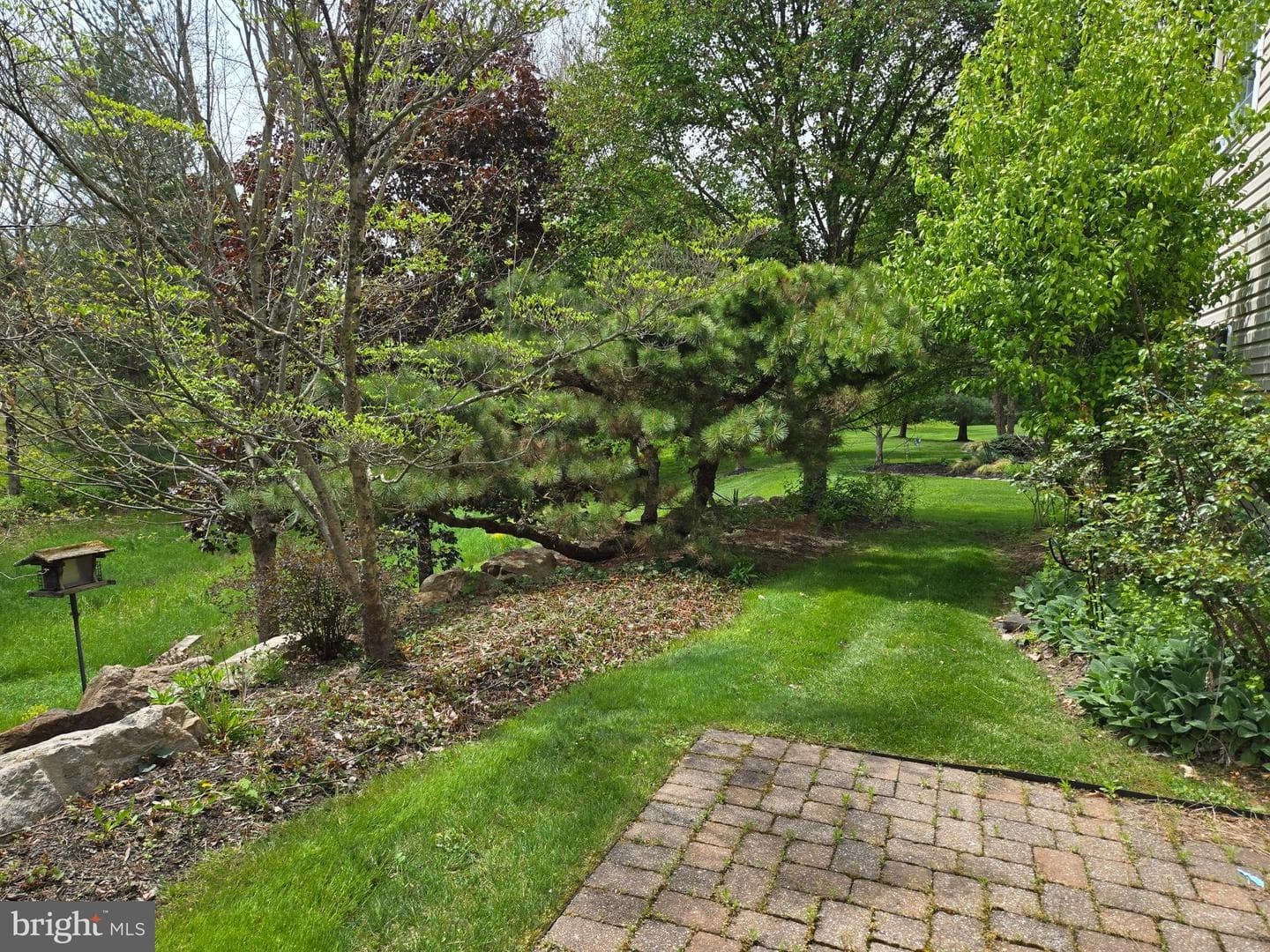 424 Snowy Owl Lane photo 23