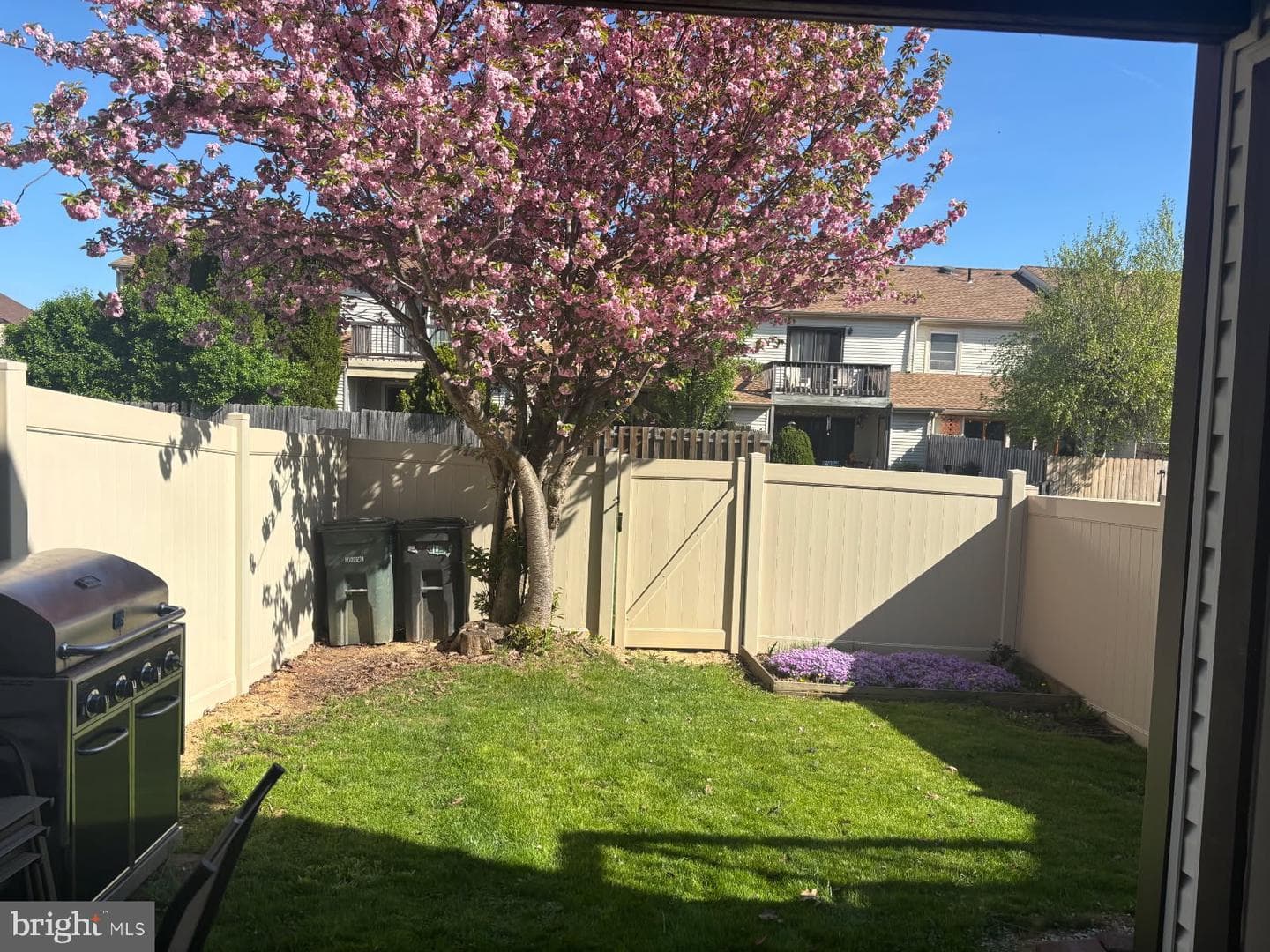 264 Clinton Court photo 23