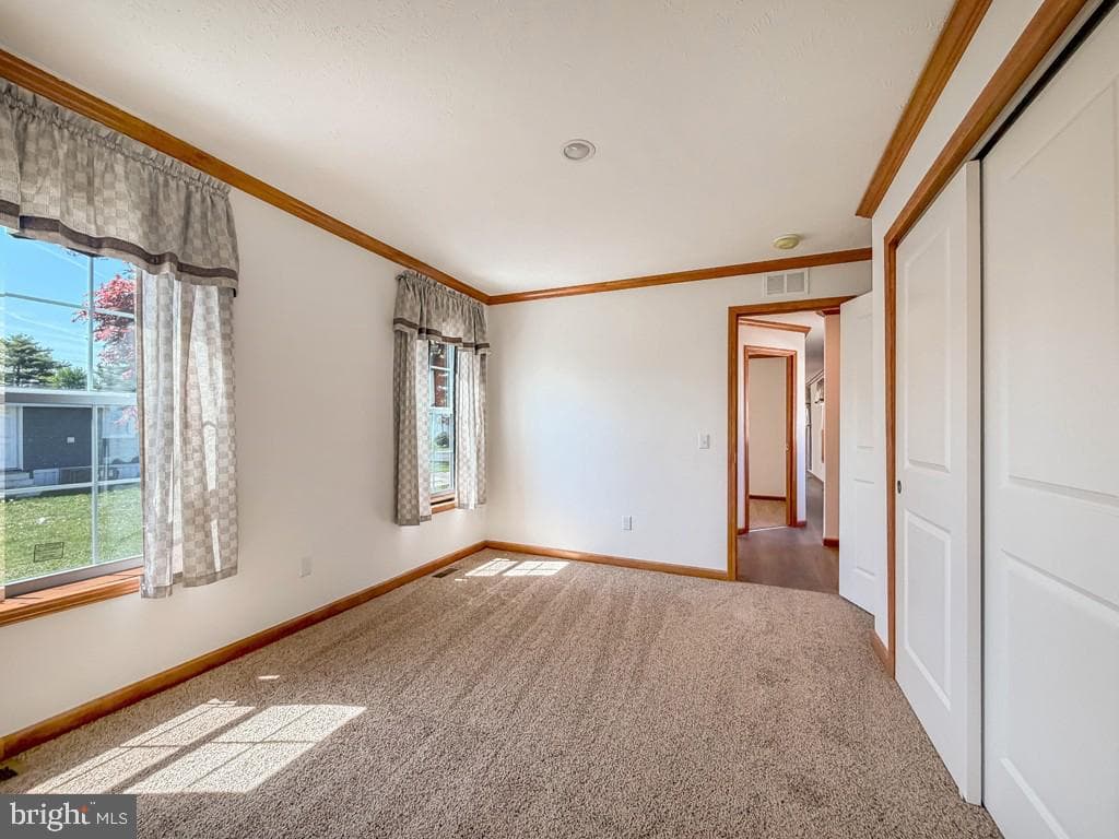 3402 Clayton Drive photo 17
