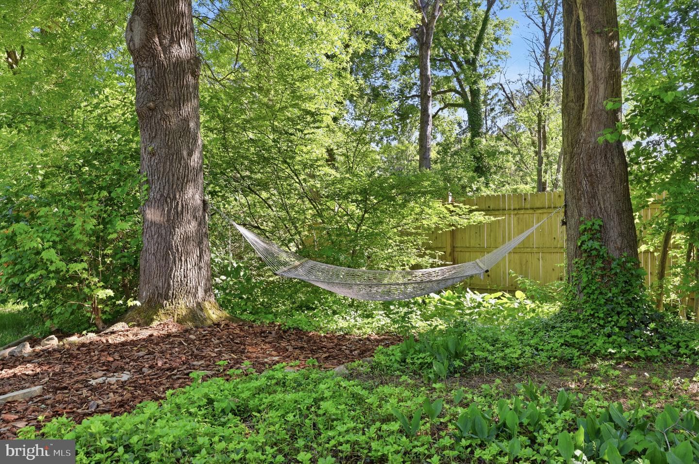207 W Ferry Road photo 47