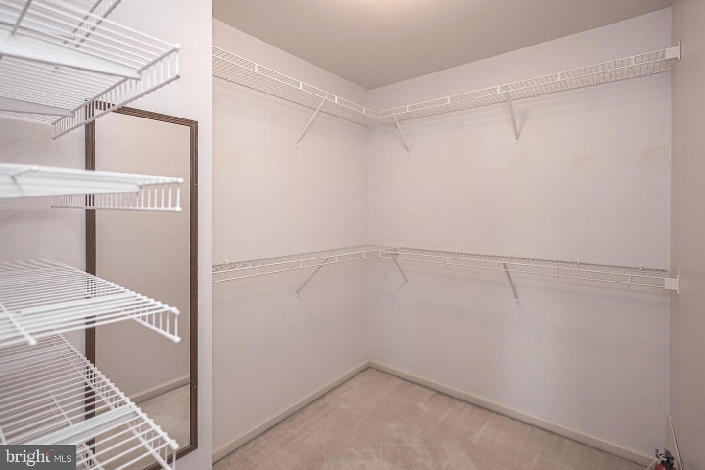 1021 Bartram Lane photo 41