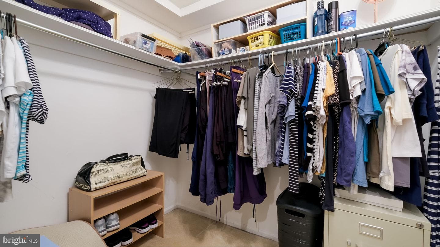 74 Basil Road photo 22