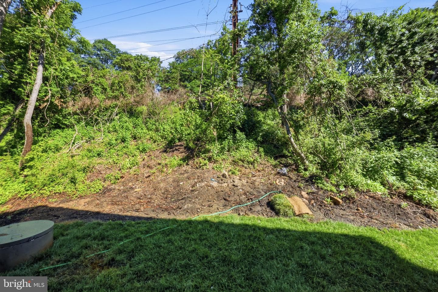 891 Reading Avenue photo 53