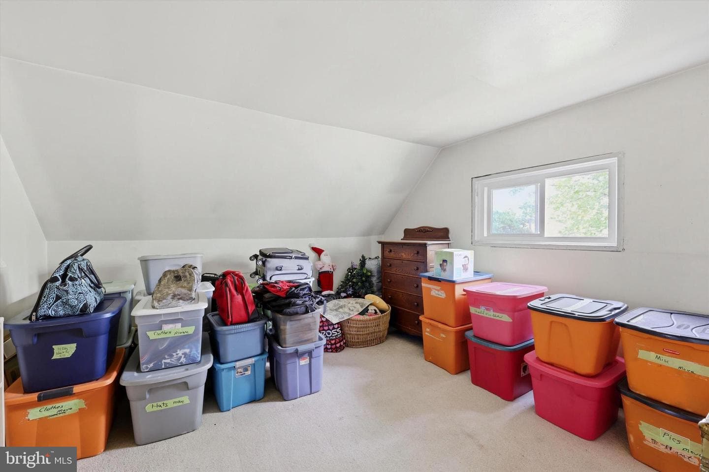 59 Coral Lane photo 16