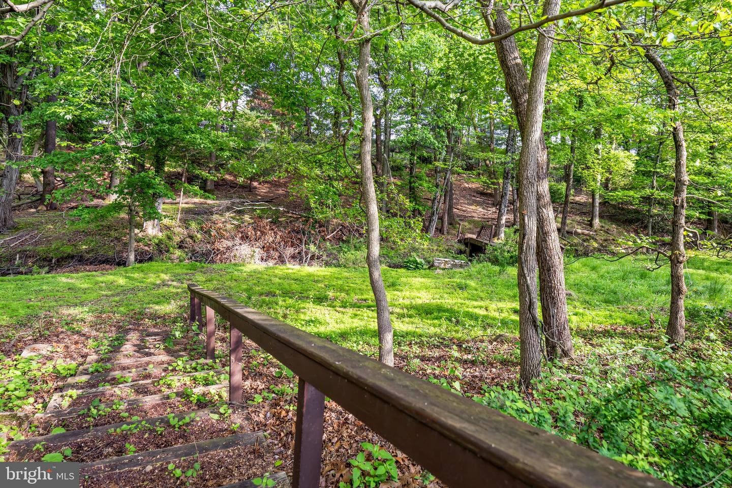 1007 Fawn Drive photo 53