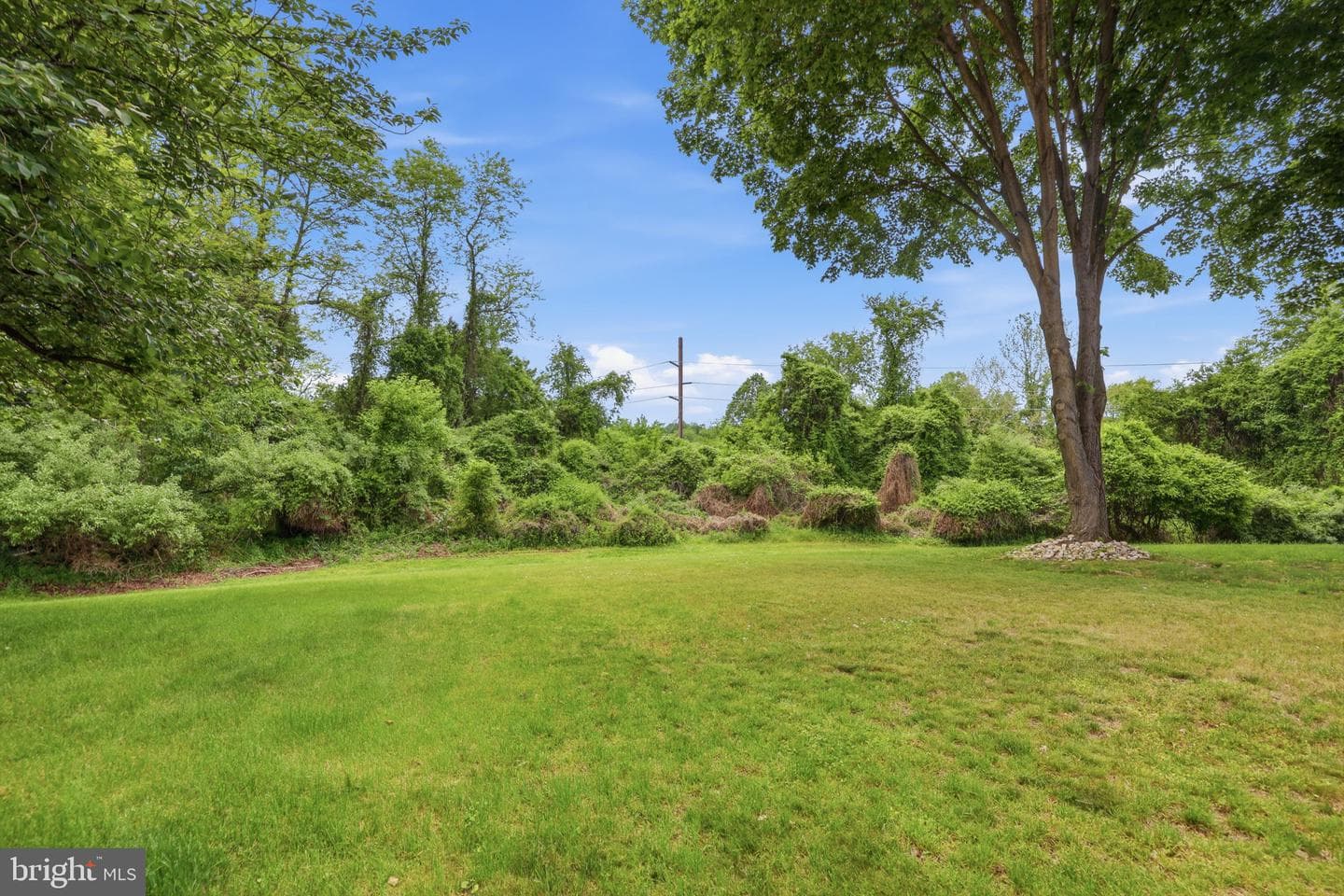 331 Basswood Circle photo 44