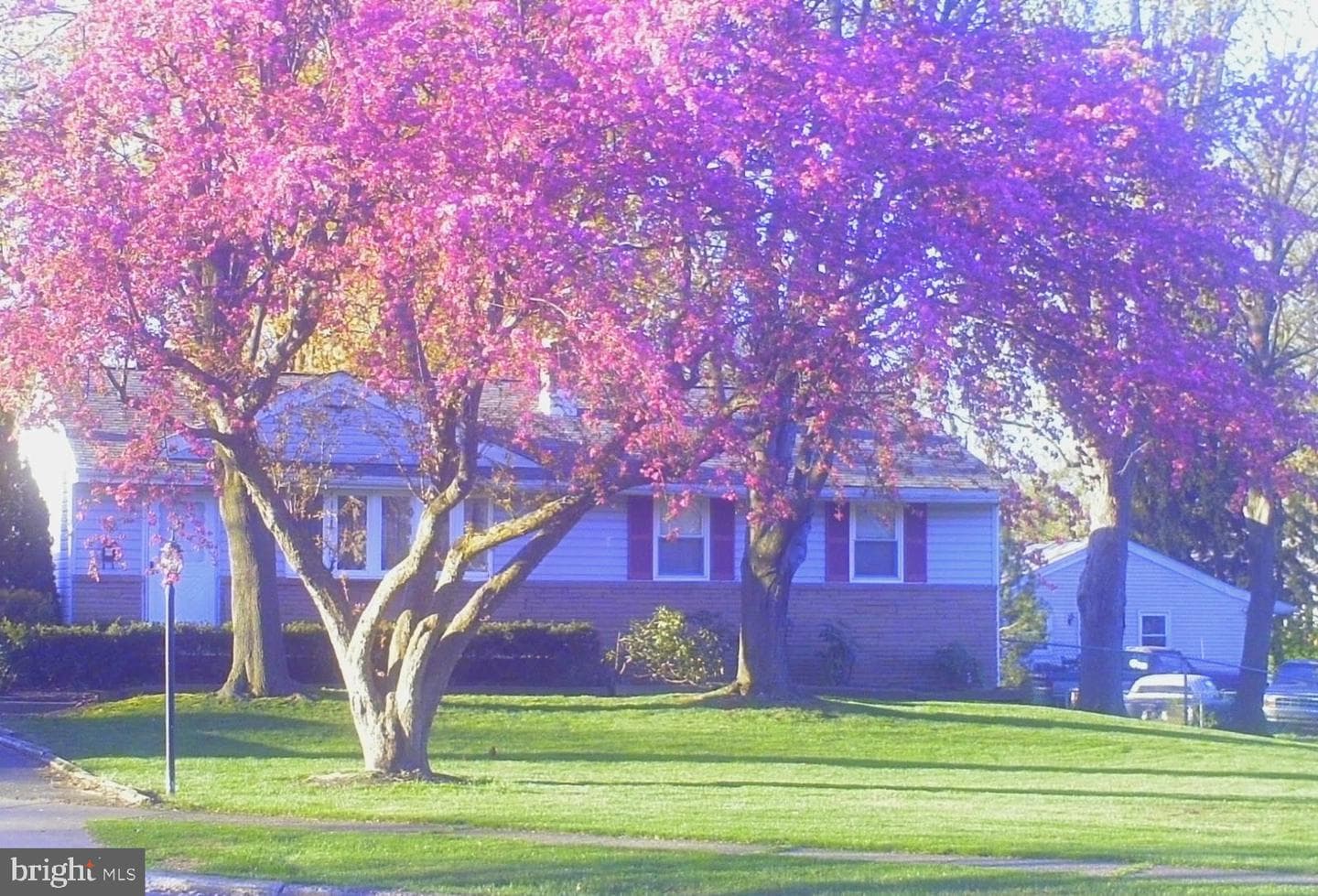 168 Ann Lane photo 6