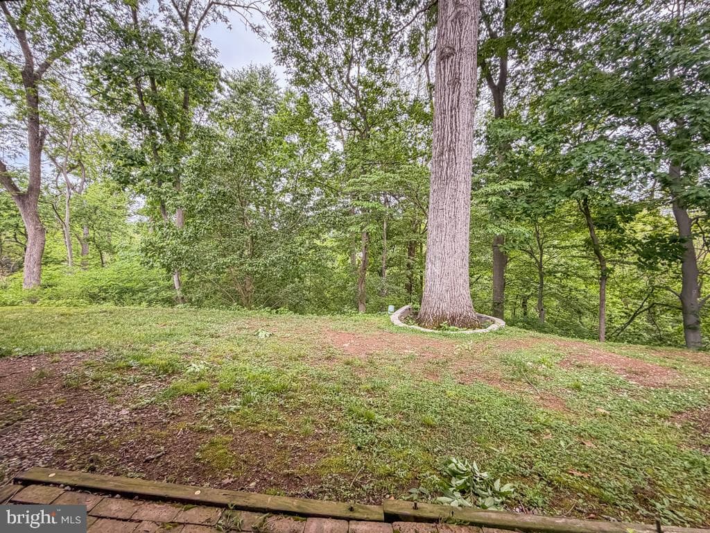 52 Woodbridge Court N photo 37