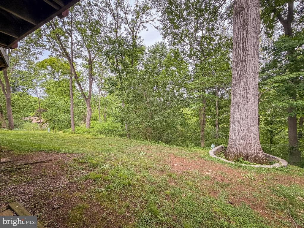 52 Woodbridge Court N photo 38