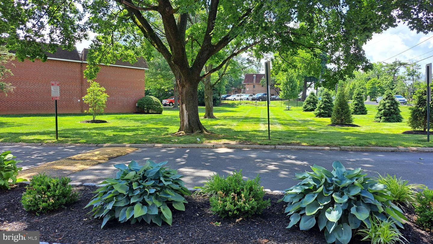 205 Saratoga Court photo 7