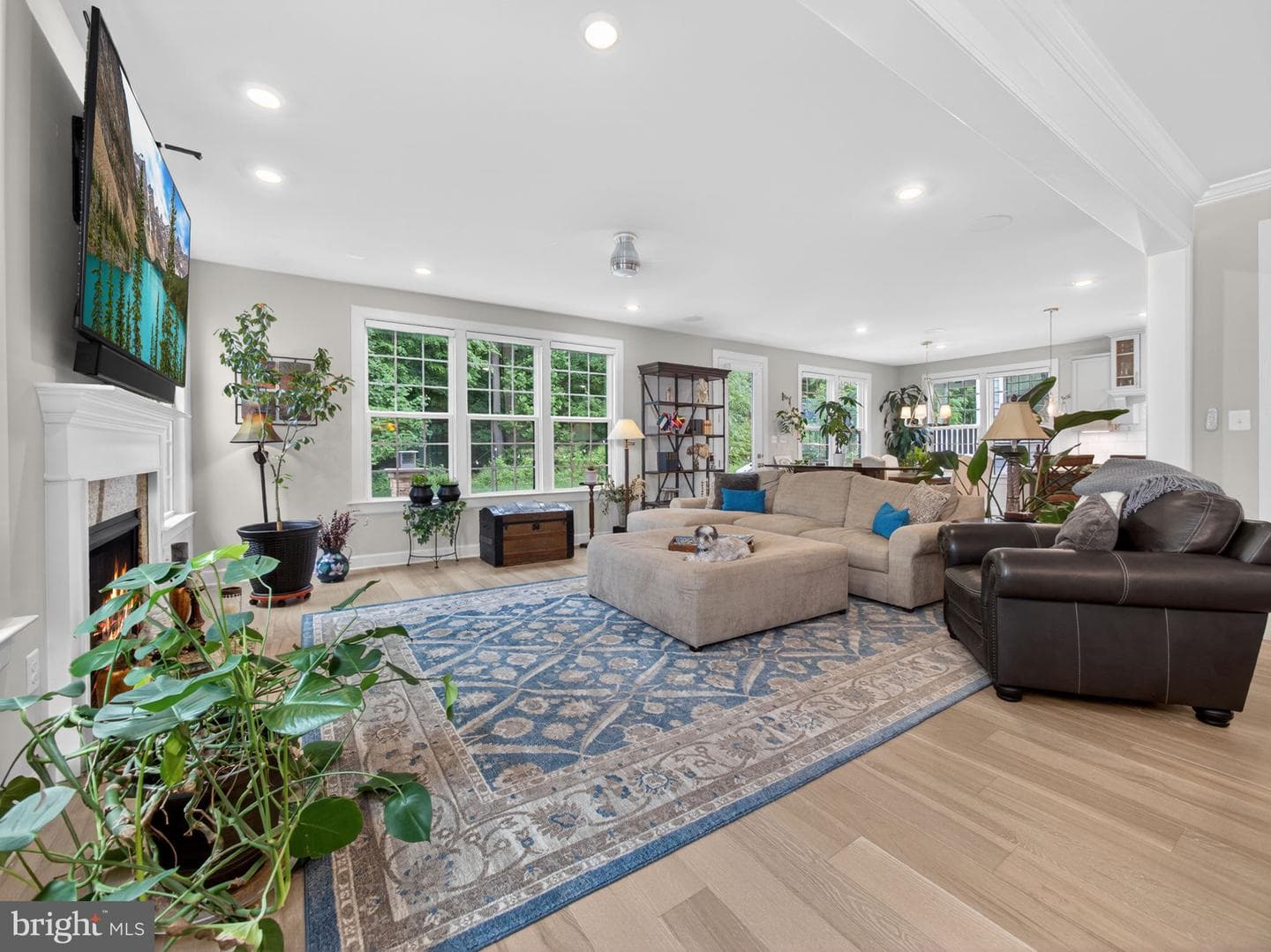 126 Cornell Road photo 12