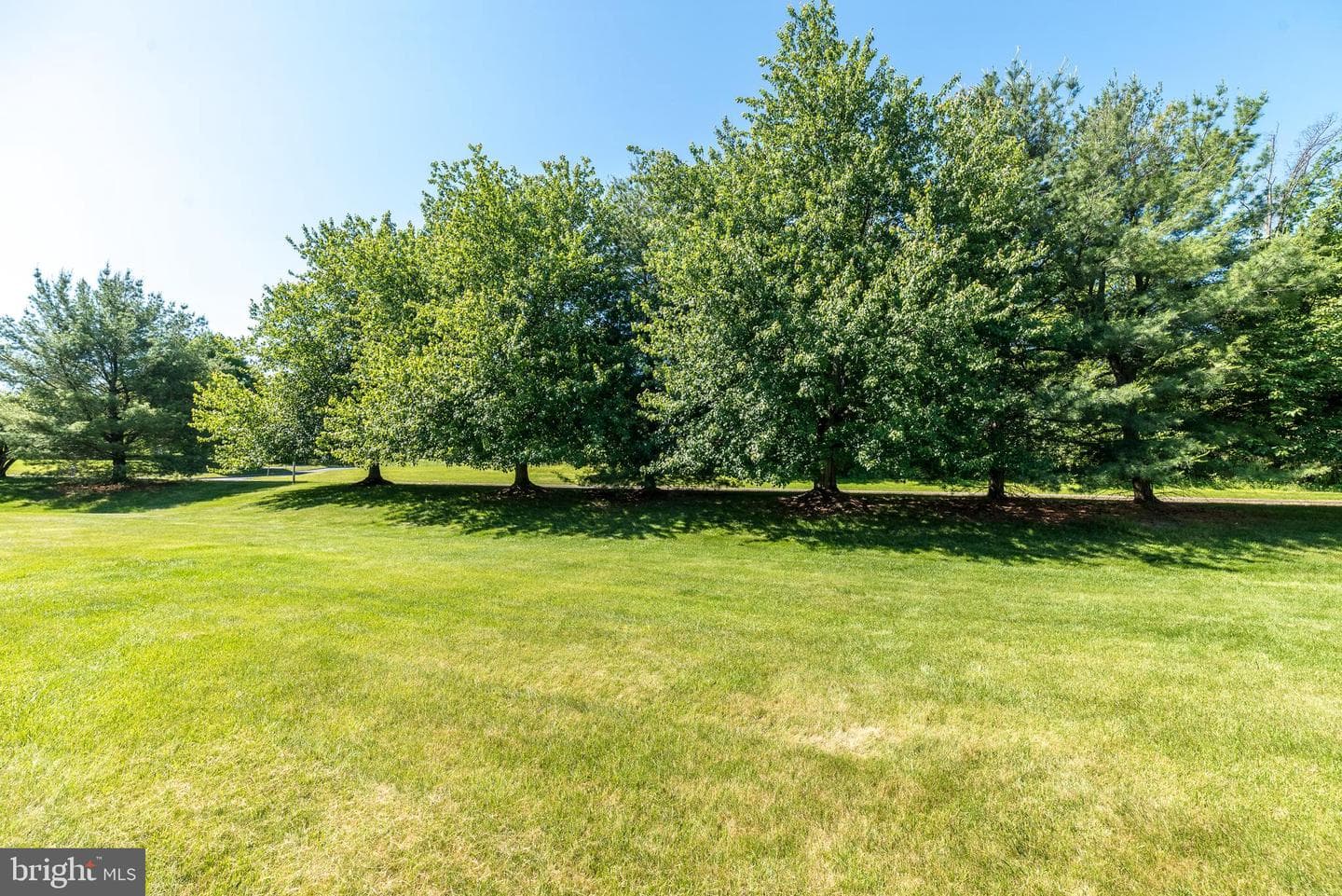 118 Galway Circle photo 49