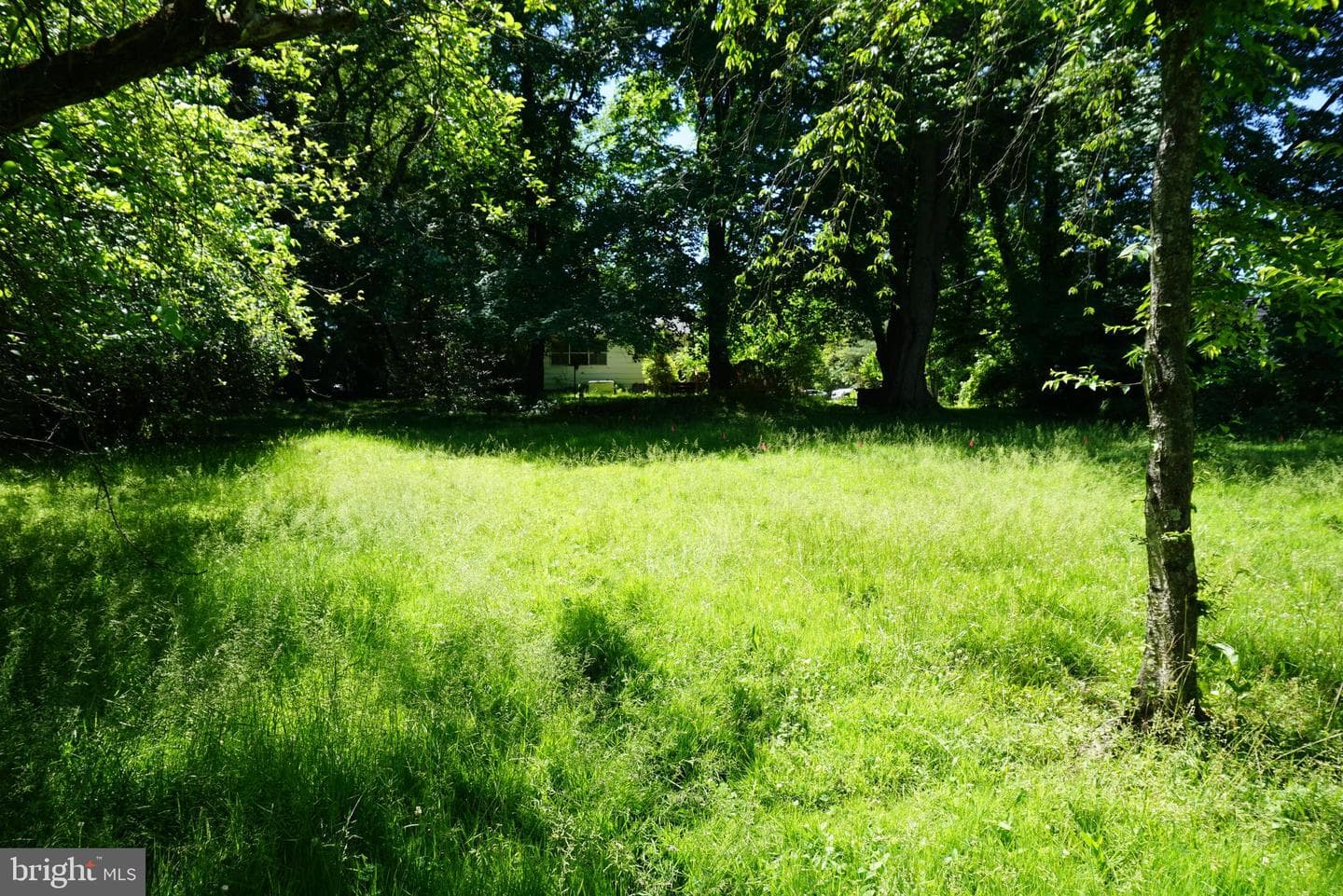 240 Edison Furlong Road photo 4