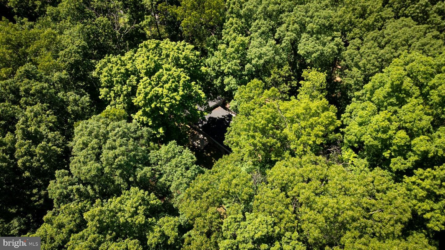 6202 Ferry Road photo 33