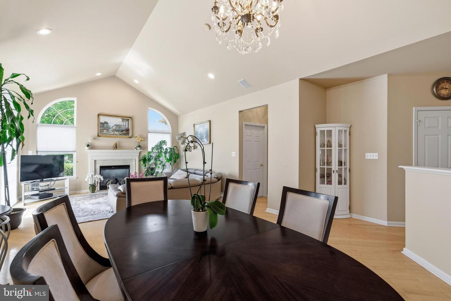 386 Shady Brook Drive #162 photo 6