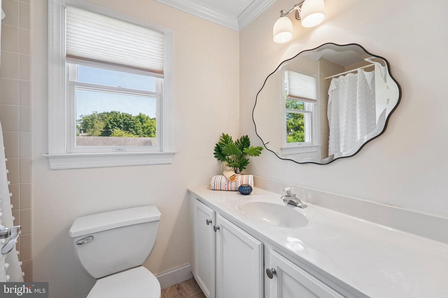 262 Logan Street photo 24