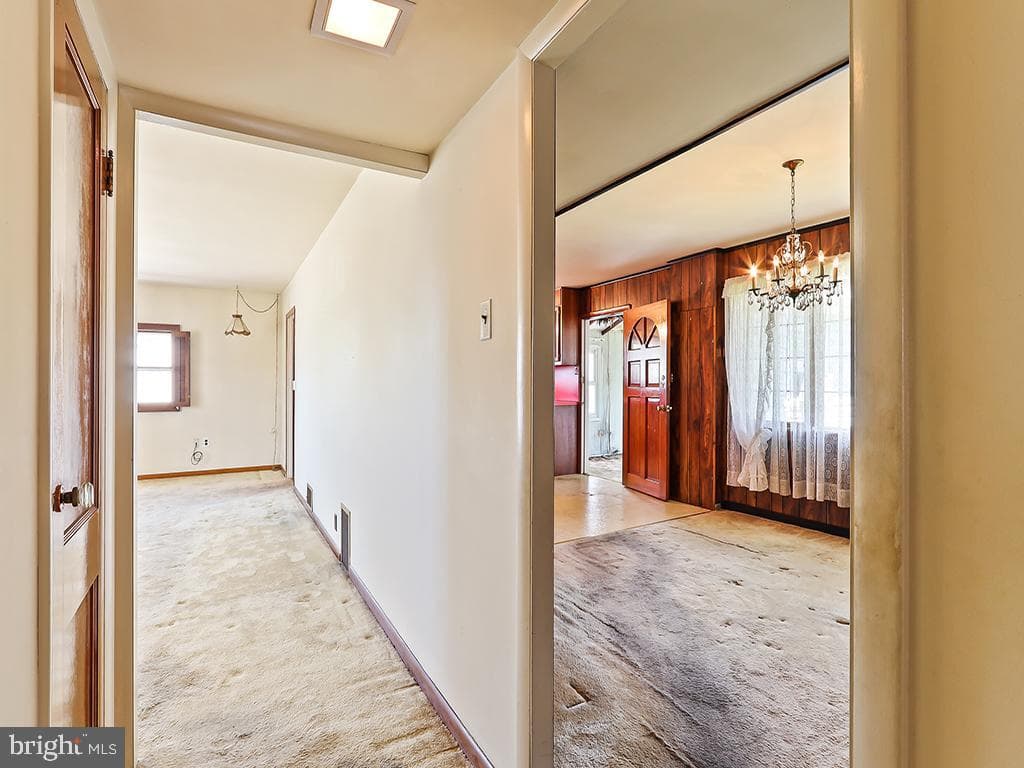 209 Austin Drive photo 19